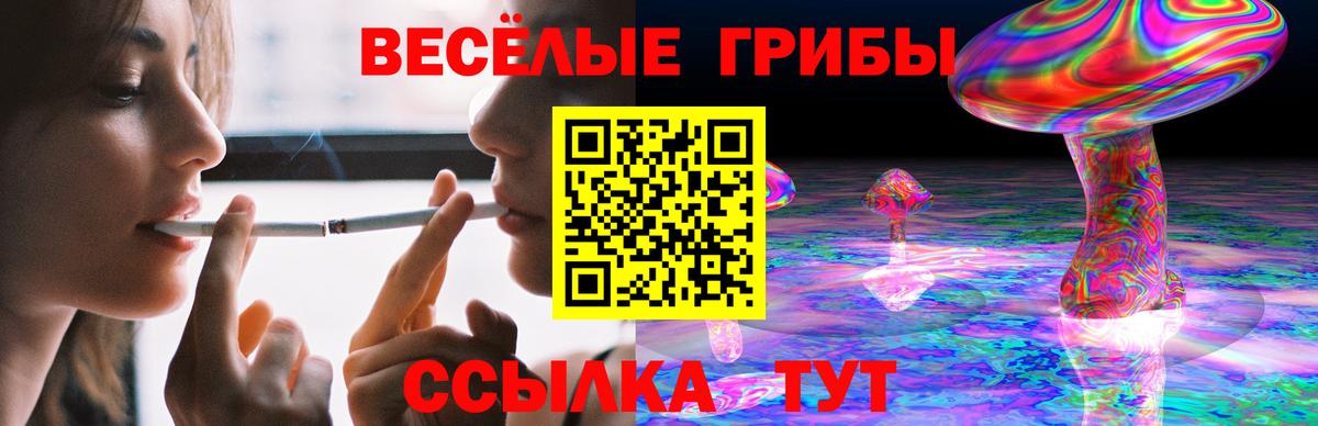 Псилоцибиновые грибы GOLDEN TEACHER Нефтеюганск